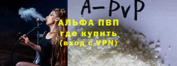 прущие грибы Дмитровск