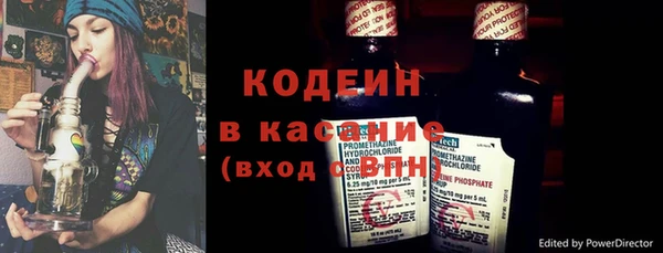 прущие грибы Дмитровск
