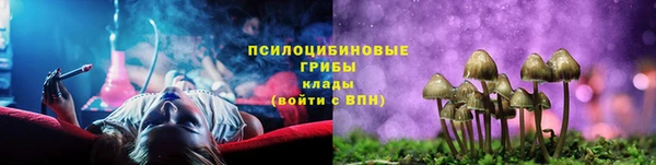 марки lsd Дмитриев