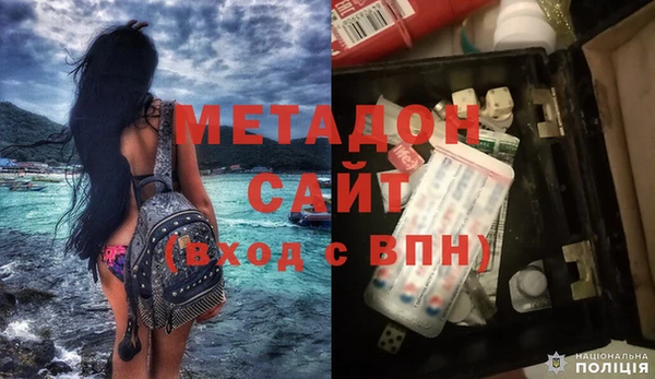 прущие грибы Дмитровск