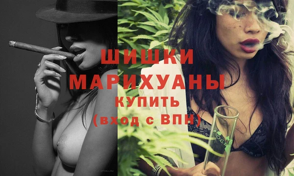 прущие грибы Дмитровск