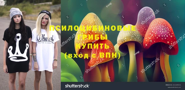 прущие грибы Дмитровск