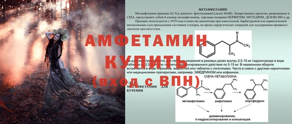 прущие грибы Дмитровск