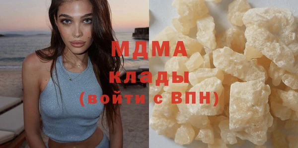 прущие грибы Дмитровск