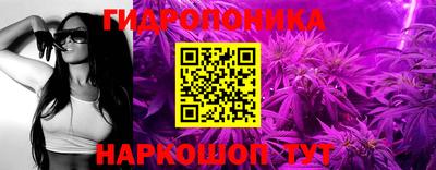 СК Гусь-Хрустальный