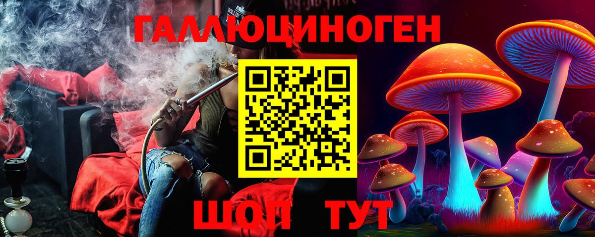 Саранск  Галлюциногенные грибы MAGIC MUSHROOMS  Вход с VPN  Галлюциногенные грибы GOLDEN TEACHER 