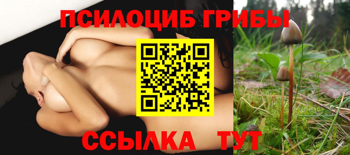 Псилоцибиновые грибы прущие грибы Саранск